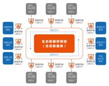 數衍科技亮相中國國際食博會高端峰會 以物聯網技術服務共筑食品安全新未來